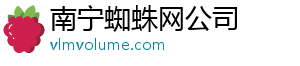 南宁蜘蛛网公司